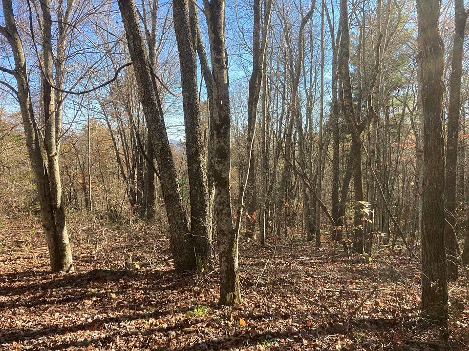 2nd image of LOT 41 E Cliff Rd