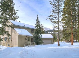 355 Nuthatch Dr, Alma, CO 80420