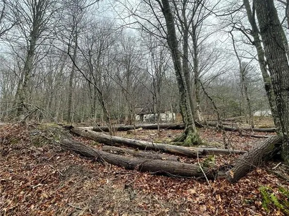 Carter Miller Rd, Todd, NC 28684