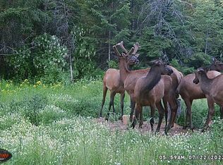 961K Seigel Hill Rd, Colville, WA 99114