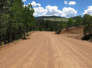 310 Vindicator Dr, Cripple Creek, CO 80813