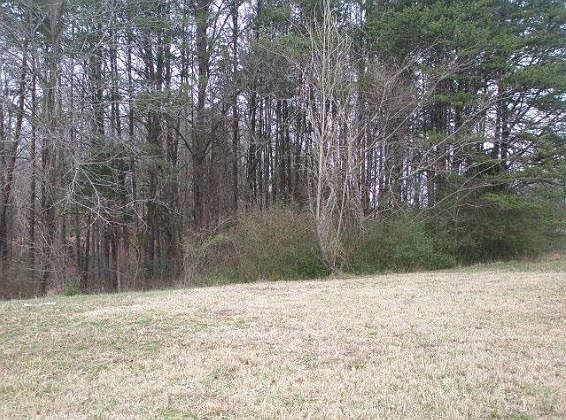 2nd image of 1225 Gibbons Rd