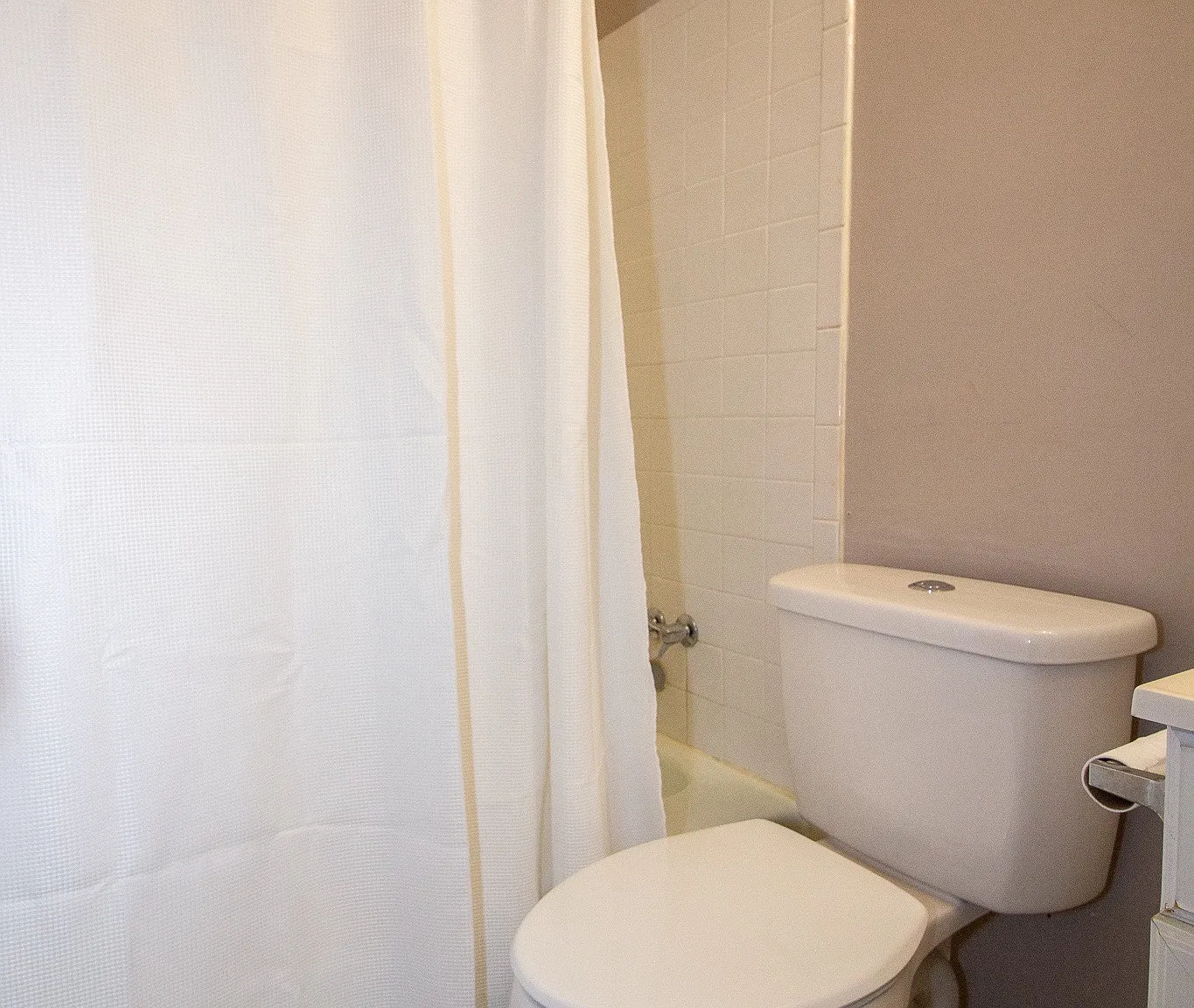 1 bed, 450 sqft, $850 — Photo 2