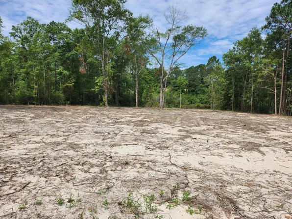 43 Pinewood Dr, Defuniak Springs, FL 32433