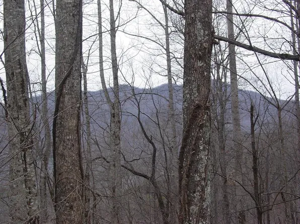 17 Roaring Rdg, Hiawassee, GA 30546