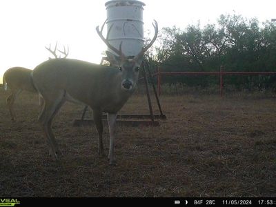 953 Fm-799, George West, TX, 78022