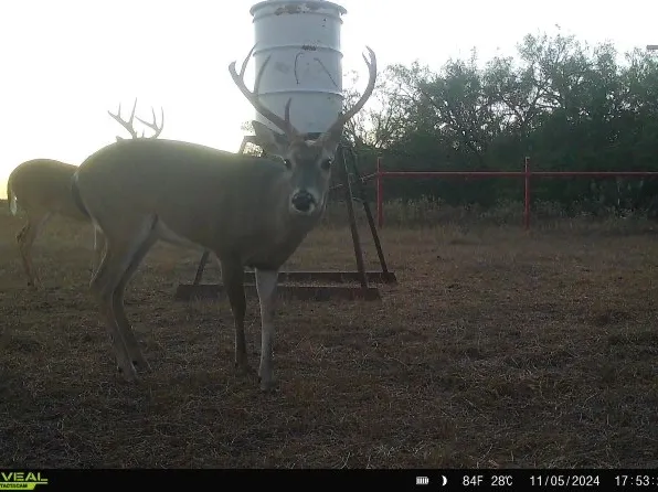 953 Fm 799, George West, TX 78022