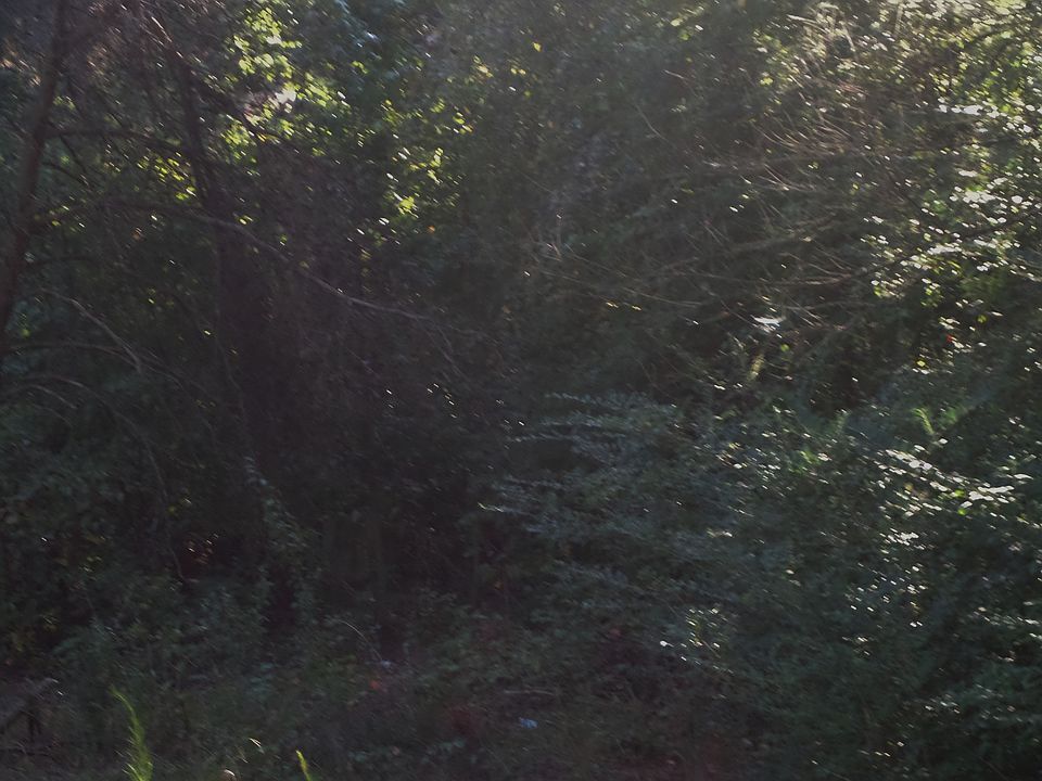 1st image of Ora Drive #166-168