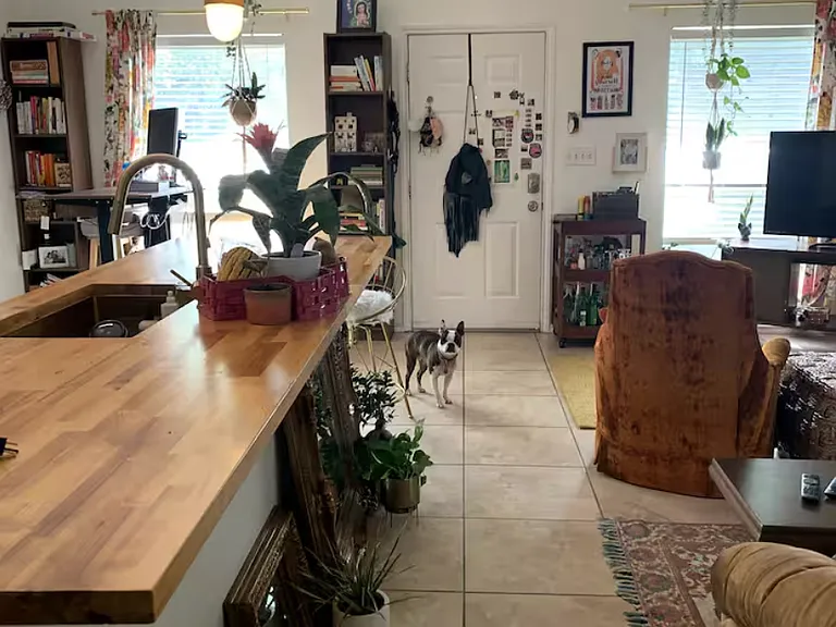802 S 1st St #119 — Photo 7