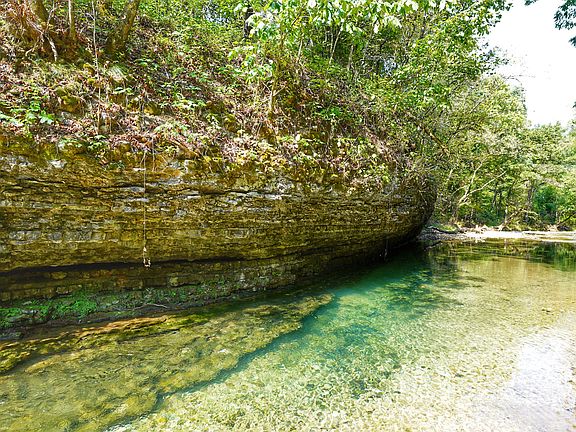 2nd image of 24530 & 24540 Coon Hollow Rd