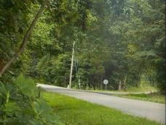 Exterior Neighborhood (street photo)