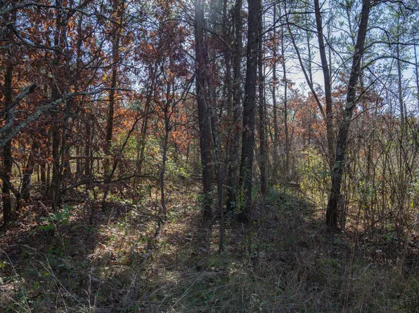 1051 W 13th Ln, Arkdale, WI 54613