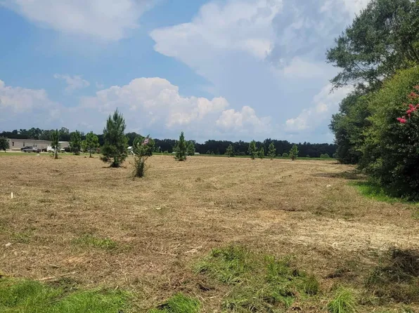 0 Couch Plant Rd, Summerdale, AL 36580