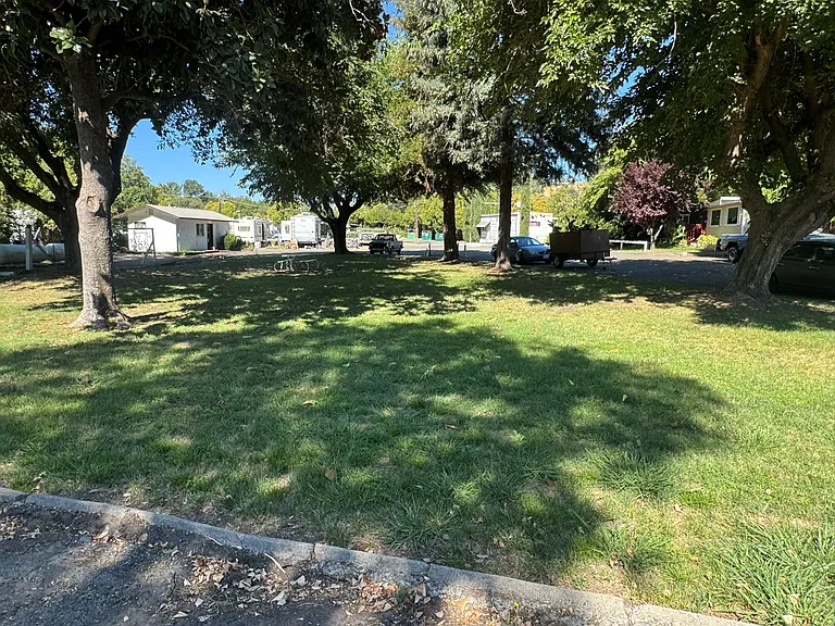 21795 Bend Ferry Rd — Photo 4