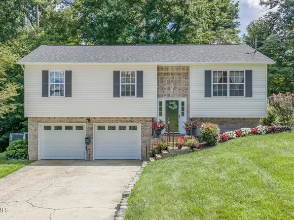 231 Valley Crest Dr, Mt Carmel, TN 37645