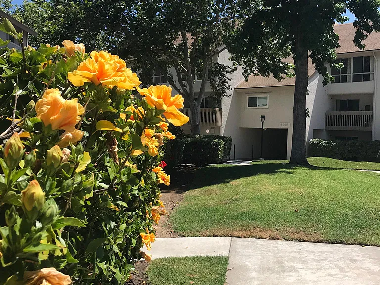 6255 Rancho Mission Rd #206 — Photo 10