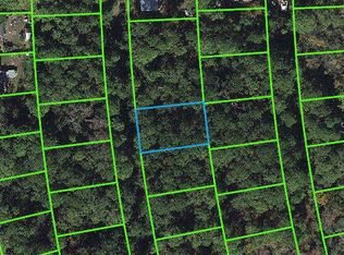 217 Harmony Ct, Lake Placid, FL 33852
