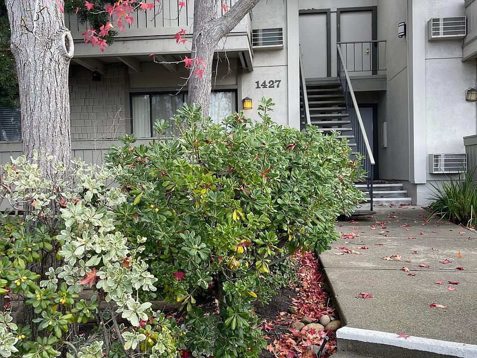 1st image of 1427 Marchbanks Dr APT 1