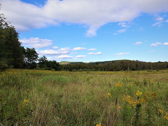 3rd image of 4761 County Route 82 Lot Wp001
