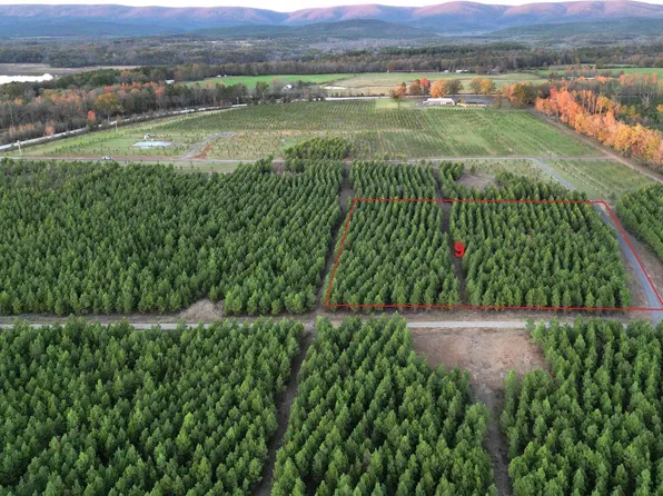 TRACT Nine Serenity Ln, Mena, AR 71953