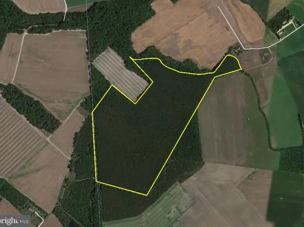 Blue Bird Ln, Laurel, DE 19956