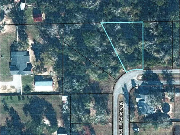 27 Charlie Gaskin Dr, Wewahitchka, FL 32465