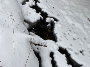 0 Peavy Rd, Fillmore, NY 14735