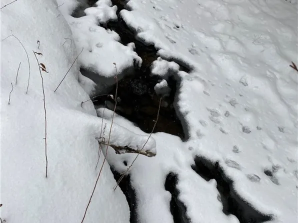 0 Peavy Rd, Fillmore, NY 14735