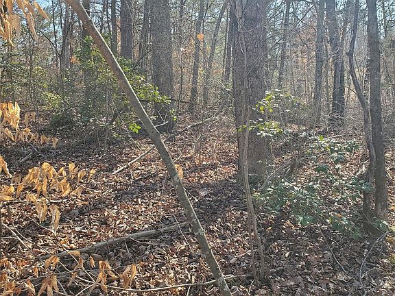 3rd image of 0 Highway 226 Hwy S