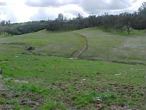 2nd image of 3805 Buena Vista Rd