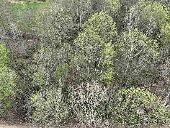 5th image of 164 E State Rd