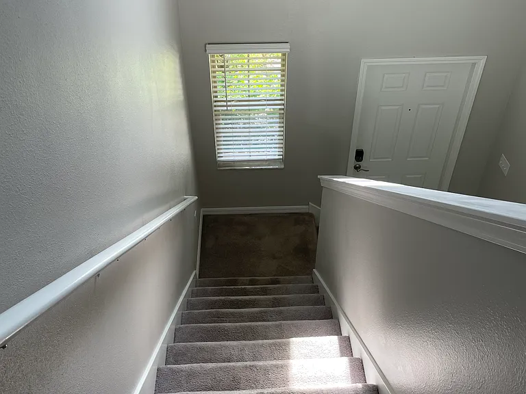5221 White Chicory Dr — Photo 32