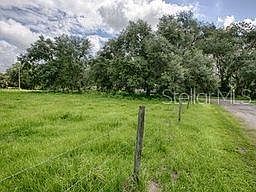 5th image of County Road 763 #21