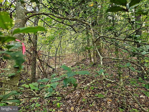 3rd image of 0 Off Of Long Branch Rd