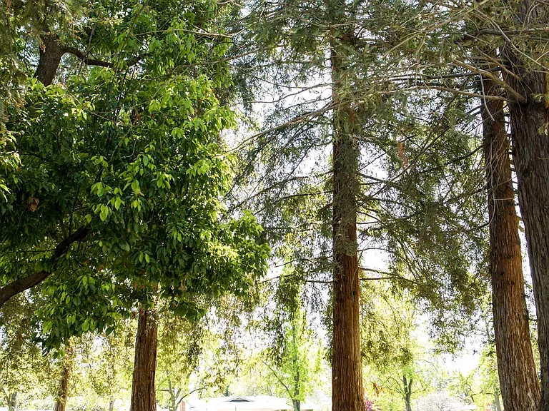 Vessona park