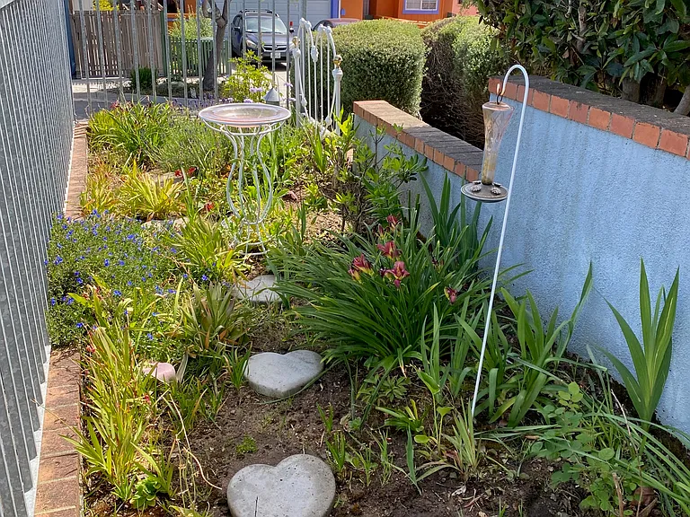 Cottage Garden