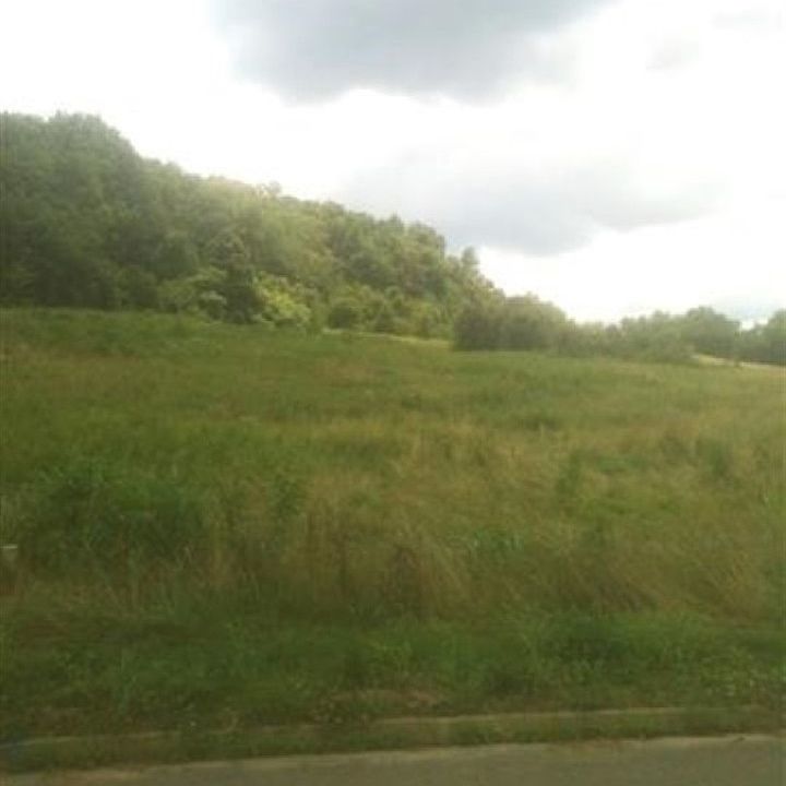 1st image of LOT 62 Secluded River Cir