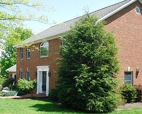 4th image of 121 Old White Dr