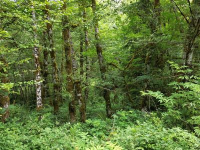 0 Blackcap Rd, Seaside, OR, 97138