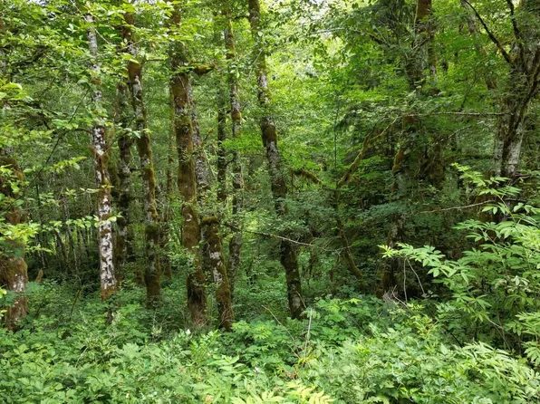 0 Blackcap Rd, Seaside, OR 97138