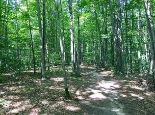 Feldhauser Rd, Frederic, MI 49733