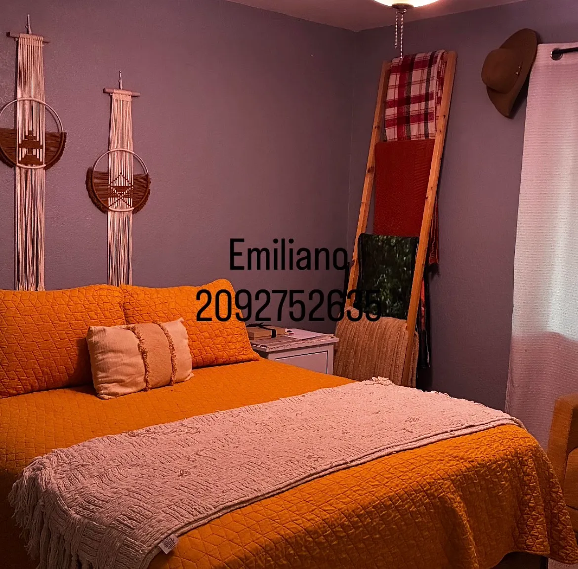 2 bed, 683 sqft, $3,000 — Photo 3