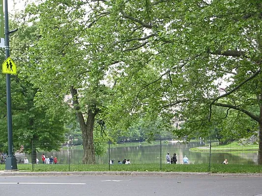 Rented by Central Park Holding Corp. | media 12