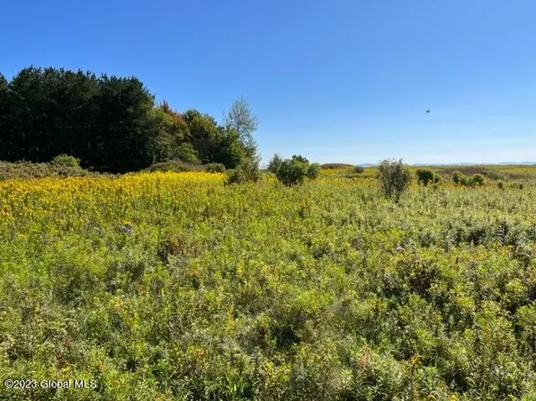 L2 Coyote Drive, Summit, NY 12175