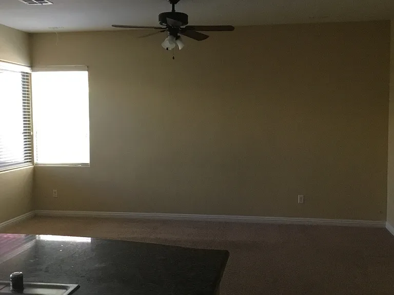 8105 Tazeer St — Photo 5