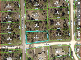 12478 Harris Hawk Rd, Weeki Wachee, FL 34614