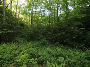 60 Bull Gap Rd, Talking Rock, GA 30175