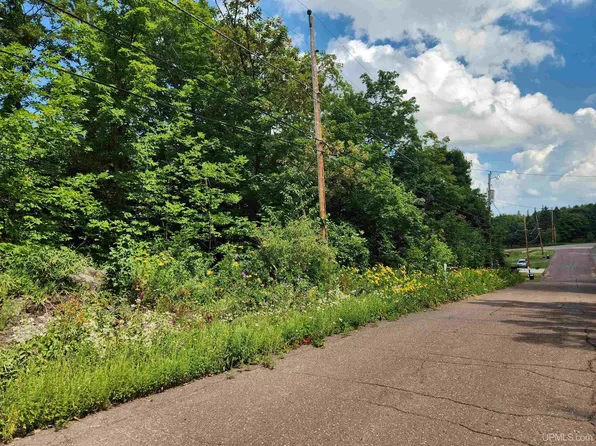 17 Calverley Ave, Houghton, MI 49931