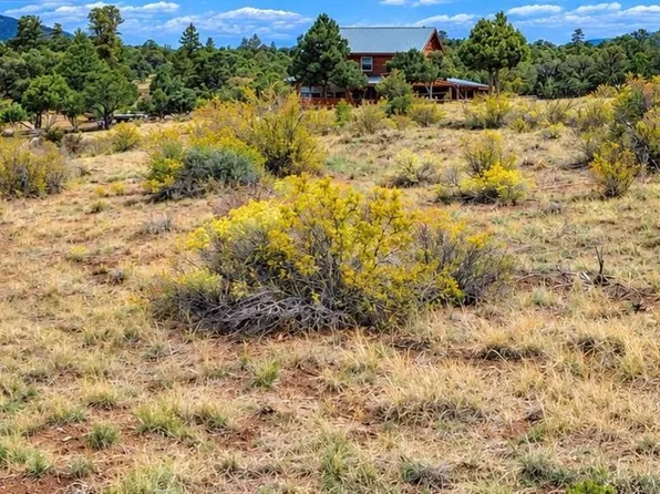 463 Wildhorse Trail, South Fork, CO 81154