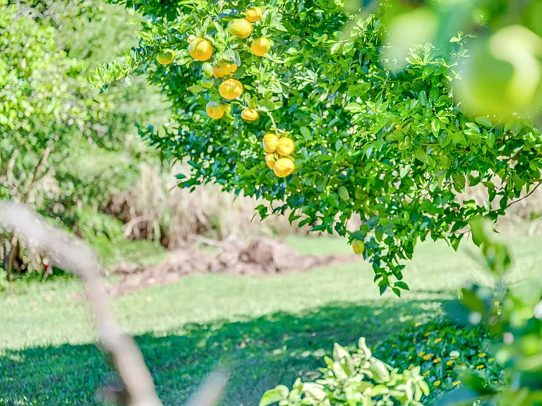 30 acres of maintained fruit orchards